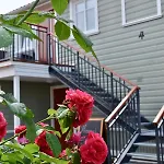 Alice Backyard - Apartments, & Exclusive Cave Saunas 4* Пярну